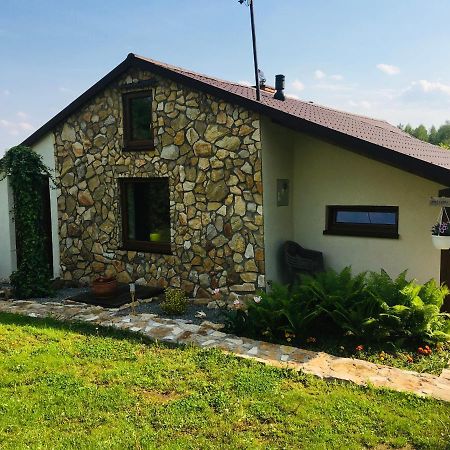 Villa Czytelnia W Sadzie Krzykawka Esterno foto