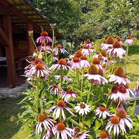 Villa Czytelnia W Sadzie Krzykawka Esterno foto