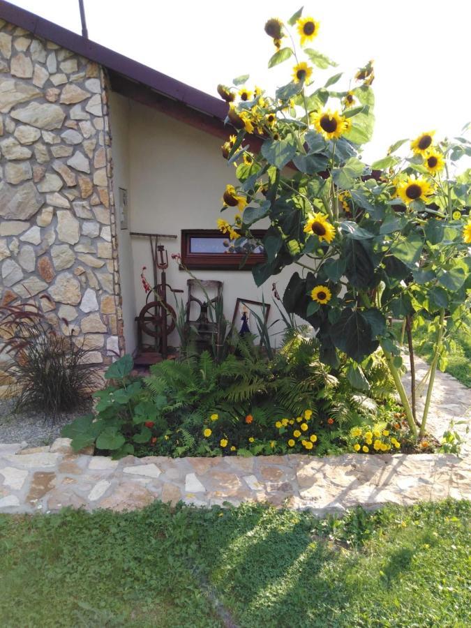 Villa Czytelnia W Sadzie Krzykawka Esterno foto