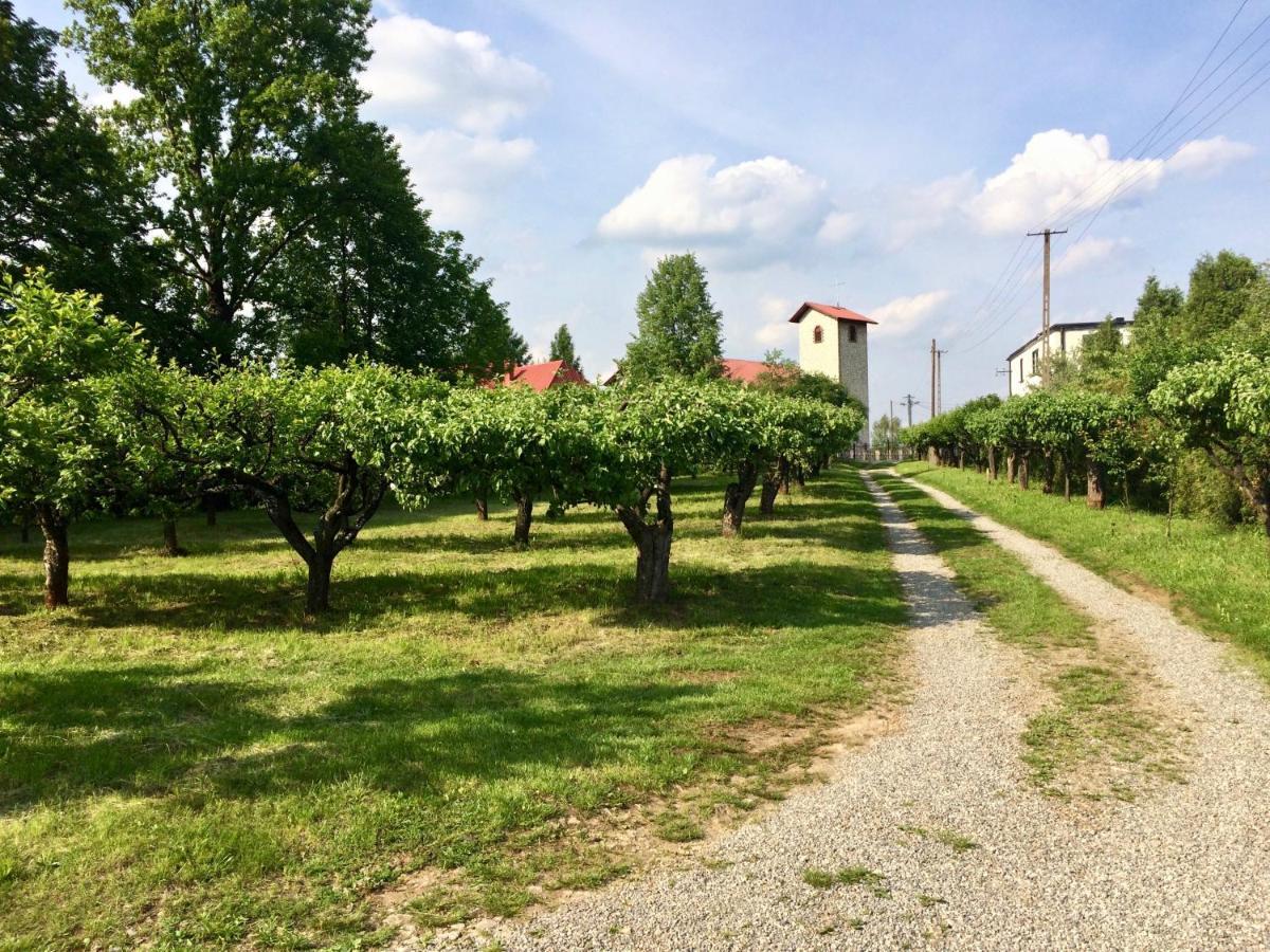 Villa Czytelnia W Sadzie Krzykawka Esterno foto