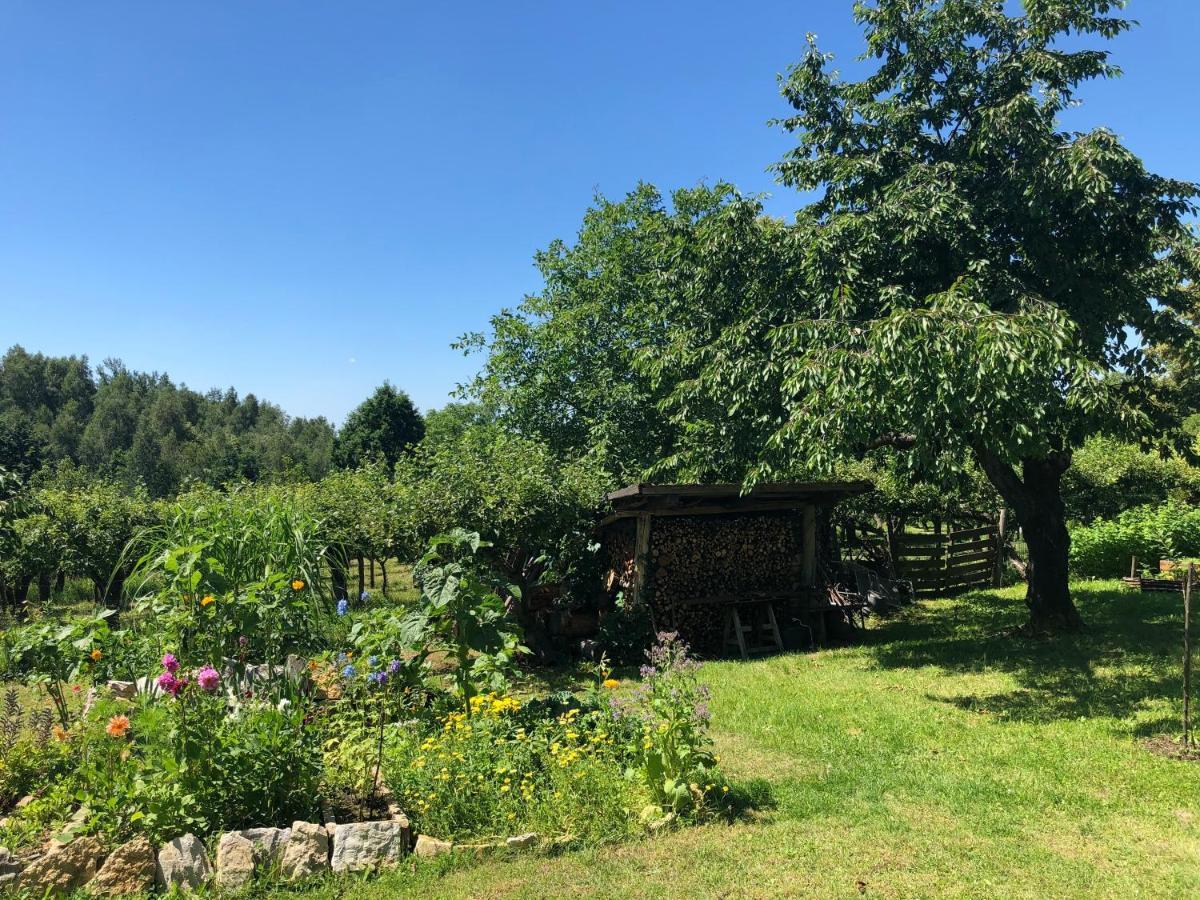 Villa Czytelnia W Sadzie Krzykawka Esterno foto