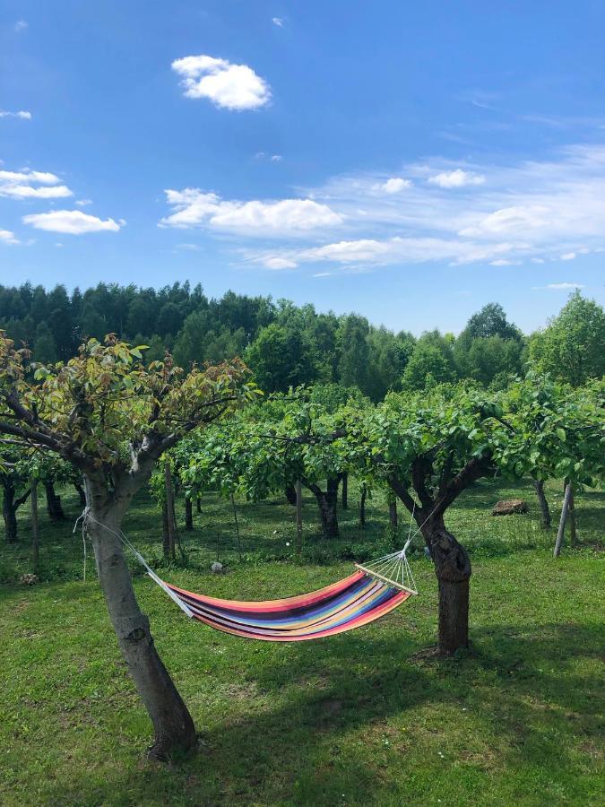 Villa Czytelnia W Sadzie Krzykawka Esterno foto