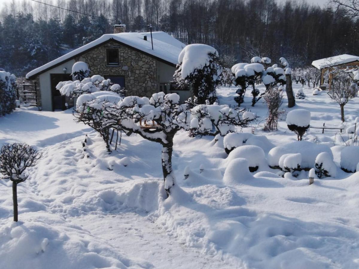 Villa Czytelnia W Sadzie Krzykawka Esterno foto