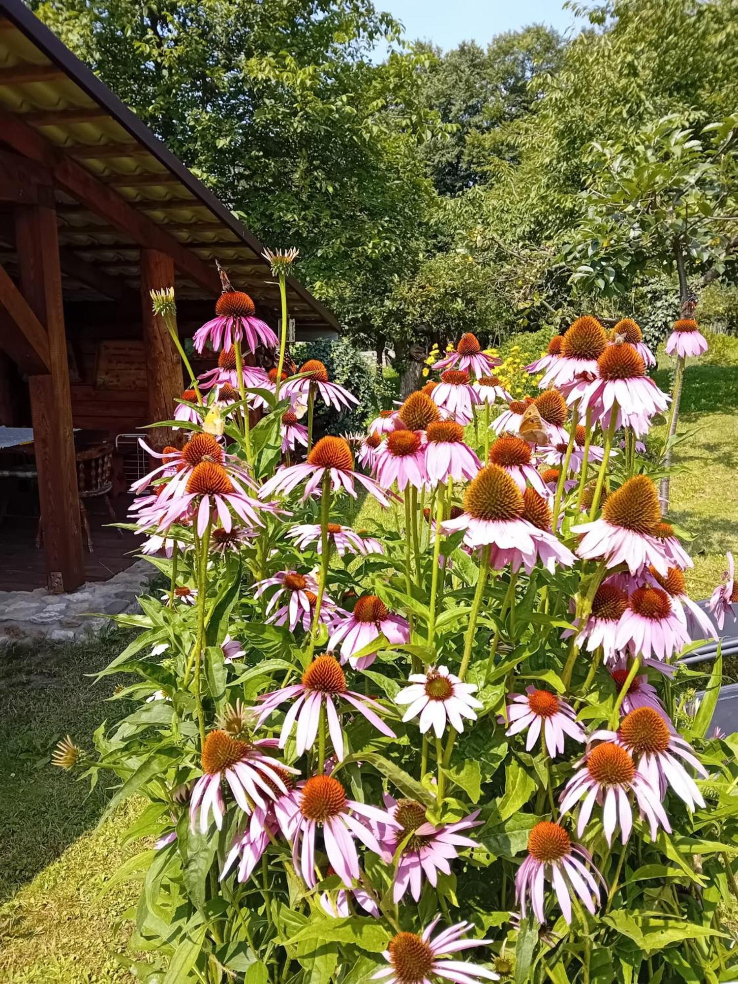 Villa Czytelnia W Sadzie Krzykawka Esterno foto